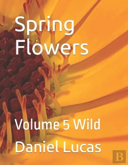 Bertrand.pt - Spring Flowers