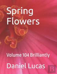 Spring Flowers