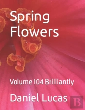 Spring Flowers