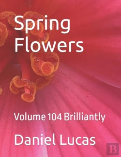Bertrand.pt - Spring Flowers
