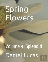 Spring Flowers