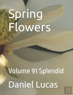 Bertrand.pt - Spring Flowers