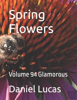 Bertrand.pt - Spring Flowers