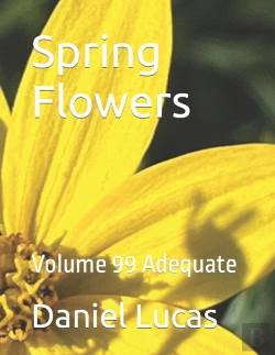 Bertrand.pt - Spring Flowers