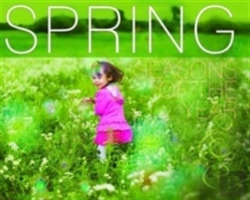 Bertrand.pt - Spring