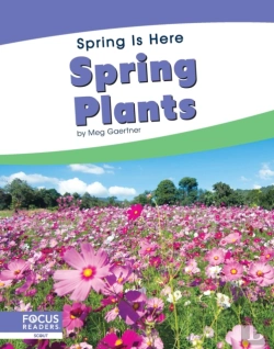 Bertrand.pt - Spring Plants