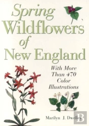 Spring Wildflowers Of New England