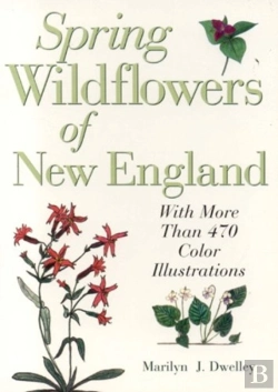 Bertrand.pt - Spring Wildflowers Of New England