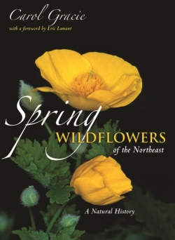 Bertrand.pt - Spring Wildflowers Of The Northeast