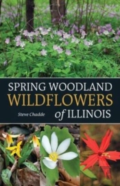 Spring Woodland Wildflowers Of Illinois