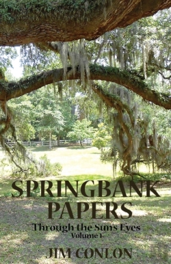 Bertrand.pt - Springbank Papers: Through The Sun'S Eye