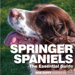 Bertrand.pt - Springer Spaniels