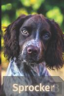 Sprocker