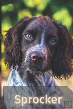 Bertrand.pt - Sprocker