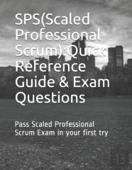 Sps(Scaled Professional Scrum)