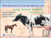 Spurgeon'S Color Atlas Of Large Animal Anatomy