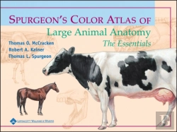 Bertrand.pt - Spurgeon'S Color Atlas Of Large Animal Anatomy
