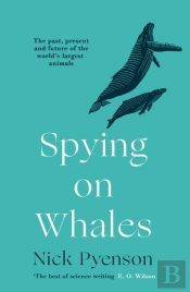 Spying On Whales
