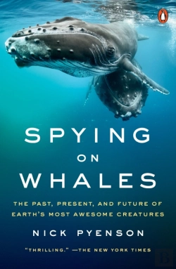 Bertrand.pt - Spying On Whales