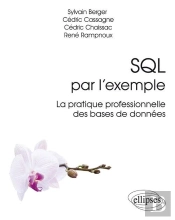 Sql Par L'Exemple ; La Pratique Professionnelle Des Bases De Données