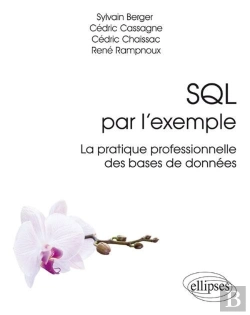 Bertrand.pt - Sql Par L'Exemple ; La Pratique Professionnelle Des Bases De Données