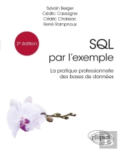 Sql Par L'Exemple : La Pratique Professionnelle Des Bases De Données