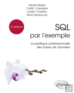 Bertrand.pt - Sql Par L'Exemple : La Pratique Professionnelle Des Bases De Données