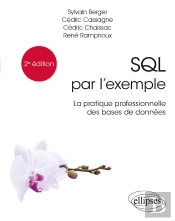 Sql Par L'Exemple - La Pratique Professionnelle Des Bases De Données