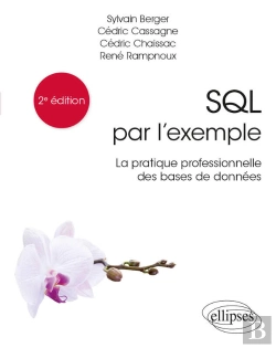 Bertrand.pt - Sql Par L'Exemple - La Pratique Professionnelle Des Bases De Données