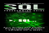 Sql Programming: Java Script And Coding Programming Guide: Learn In A Day!