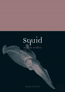 Bertrand.pt - Squid