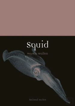 Bertrand.pt - Squid