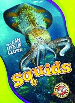 Bertrand.pt - Squids