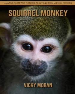 Bertrand.pt - Squirrel Monkey