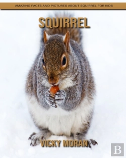 Bertrand.pt - Squirrel