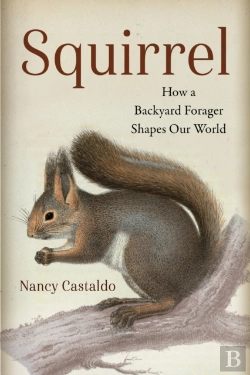Bertrand.pt - Squirrel