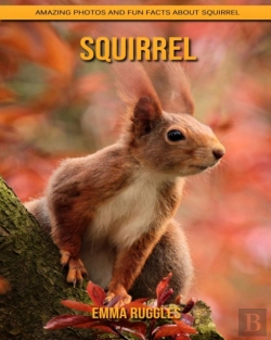 Bertrand.pt - Squirrel