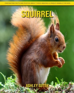 Bertrand.pt - Squirrel