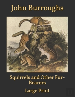 Bertrand.pt - Squirrels And Other Fur-Bearers