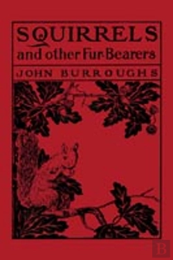 Bertrand.pt - Squirrels And Other Fur-Bearers
