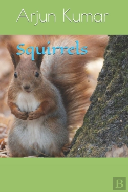 Bertrand.pt - Squirrels