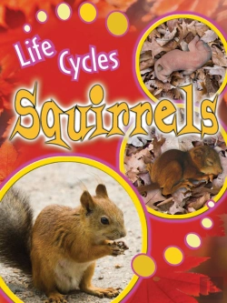 Bertrand.pt - Squirrels