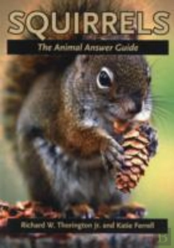 Bertrand.pt - Squirrels