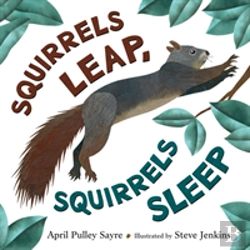 Bertrand.pt - Squirrels Leap Squirrels Sleep