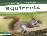 Squirrels