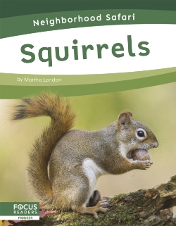 Bertrand.pt - Squirrels