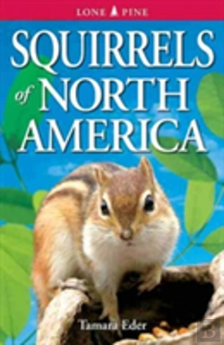 Bertrand.pt - Squirrels Of North America