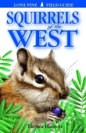Squirrels Of The West
