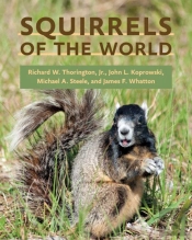 Squirrels Of The World