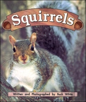 Squirrelsnight Crickets
